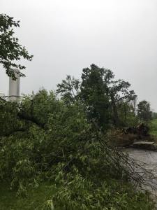 40247150_10156948730536178_6452860716364857344_n